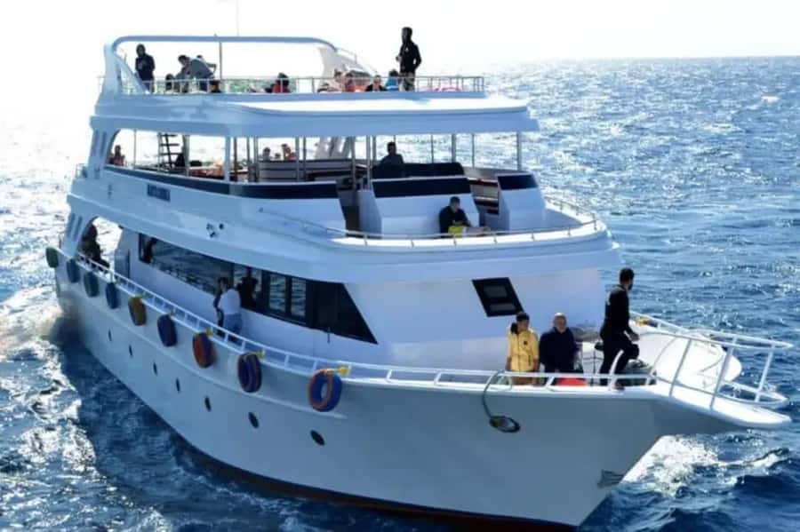 Sharm El Sheikh: Ras Mohamed & White Island Dive & Snorkel - From Sharm El Sheikh to Ras Mohamed by yacht