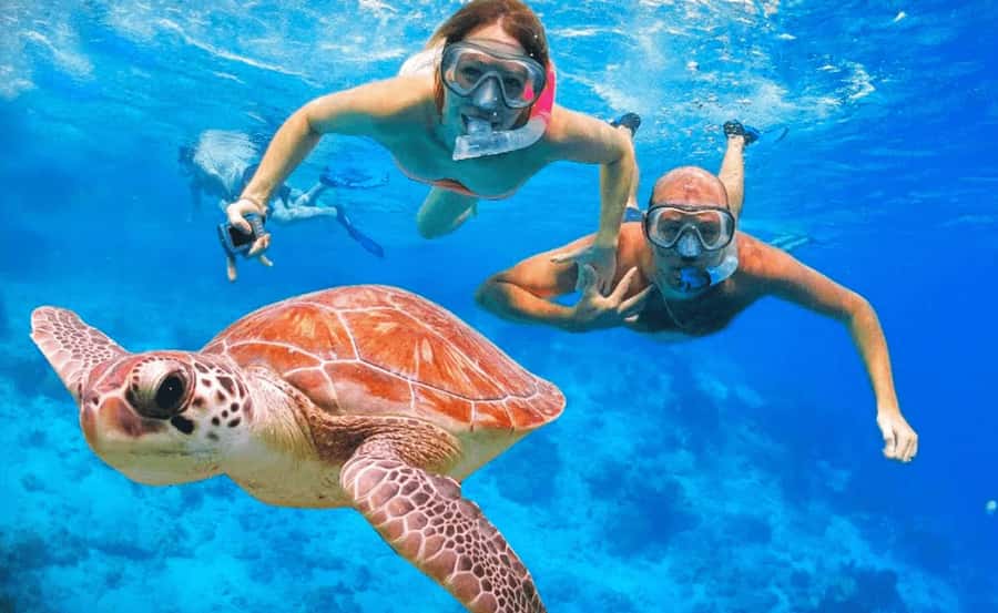 Sharm El Sheikh: Ras Mohamed & White Island Dive & Snorkel - A gentle introduction to scuba for ages 10 to 50