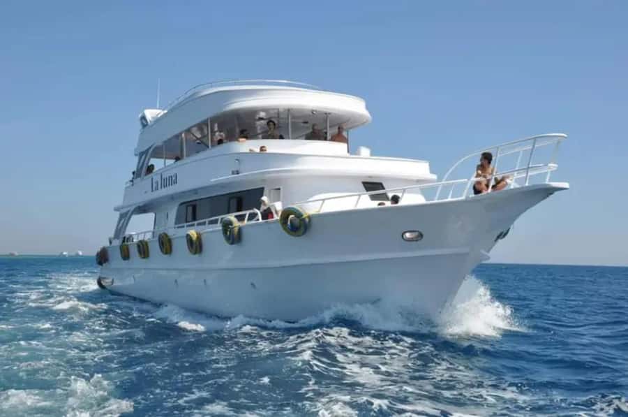 Sharm El Sheikh: Ras Mohamed & White Island Dive & Snorkel - Why the $29 price is unusually good value