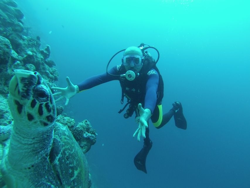 Sharm El Sheikh: Ras Mohamed & White Island Snorkel or Dive - A Red Sea day built around Ras Mohamed