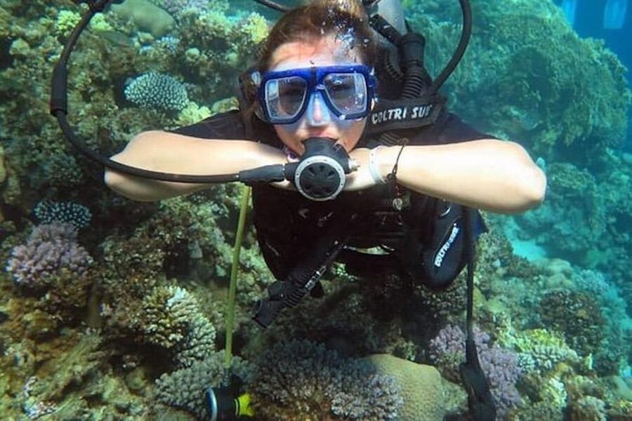 Sharm El Sheikh: Ras Mohamed & White Island Snorkel or Dive - The first reef session: clear water and careful support