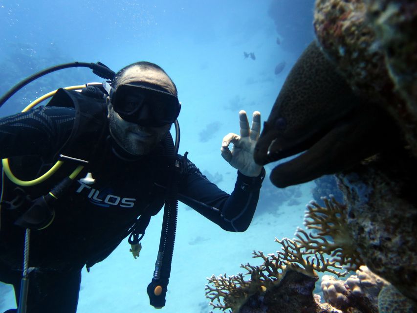 Sharm El Sheikh: Ras Mohamed & White Island Snorkel or Dive - Lunch, drinks, and the long middle of the day