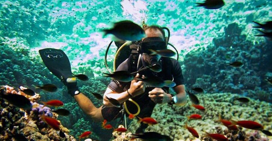 Sharm El Sheikh: Ras Mohamed & White Island Snorkel or Dive - What the boat day feels like