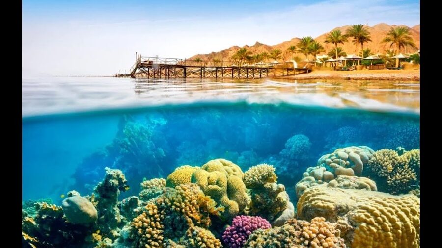 Sharm El-Sheikh: Ras Mohamed & White Island Snorkeling Trip - Optional scuba for first-time beginners
