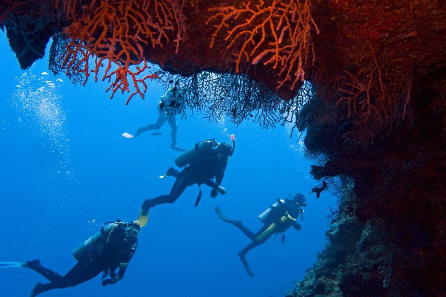 Sharm El-Sheikh: Ras Mohamed & White Island Snorkeling Trip - Who should book this day on the Red Sea?