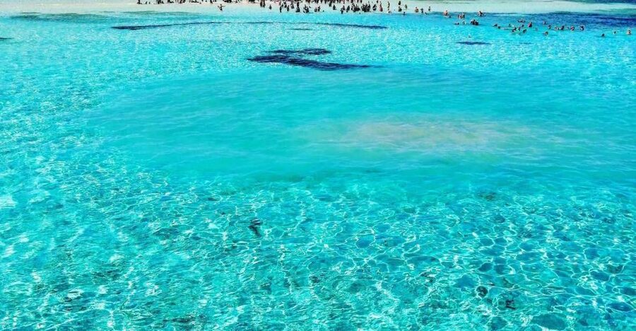 Sharm El Sheikh: White Island & Ras Mohamed Park - What the $27 price really covers