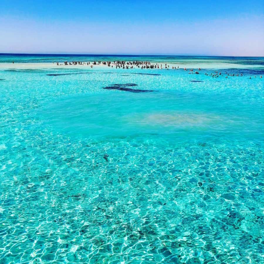 Sharm El Sheikh: White Island & Ras Mohamed Park - First water stop near Ras Mohamed