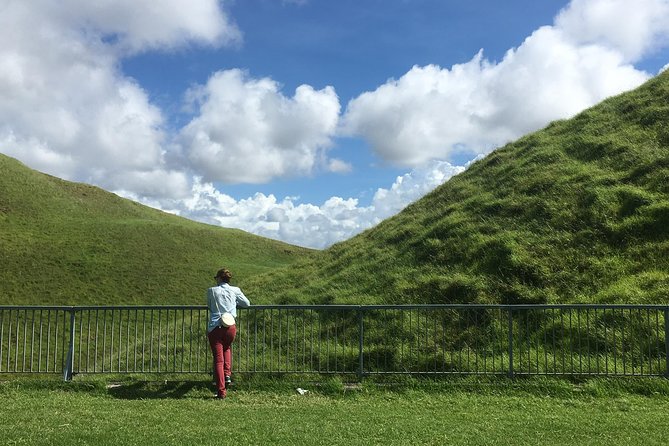 Shore Excursion: Half-Day Auckland Volcanoes Tour - What the guide adds to the volcanic sites
