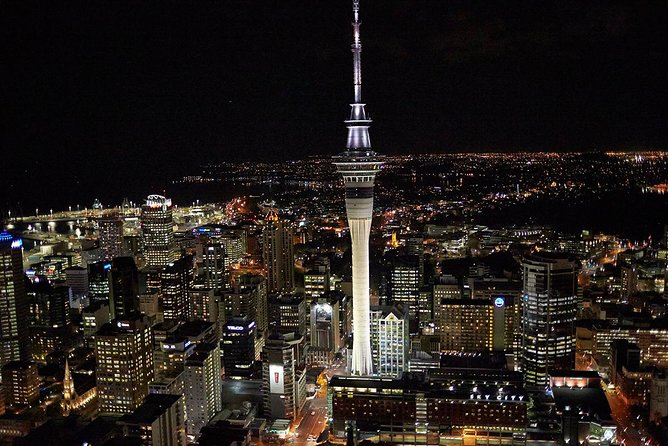 Shore Excursion: Half-Day Auckland Volcanoes Tour - Is $179.97 a fair price?