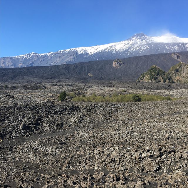 Sicily: Etna Volcano & Taormina Tour - Who should book this tour