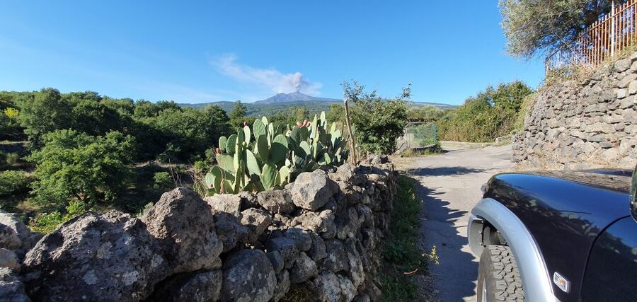Sicily: Mount Etna 4x4 Jeep Tour with Lava Caves & Forests - What the private 4x4 format adds