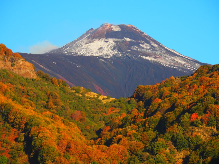 Sicily: Mount Etna's North Slope Craters Guided Hike Tour - Key points to know before booking