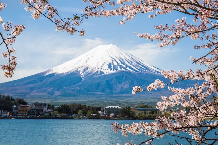 Sightseeing Day Trip to Mount Fuji and Hakone Green Number - What the $419 price really buys