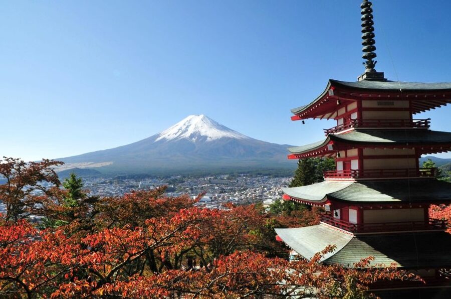 Sightseeing Day Trip to Mount Fuji and Hakone Green Number - The first decision: Fuji and Hakone or Fuji only