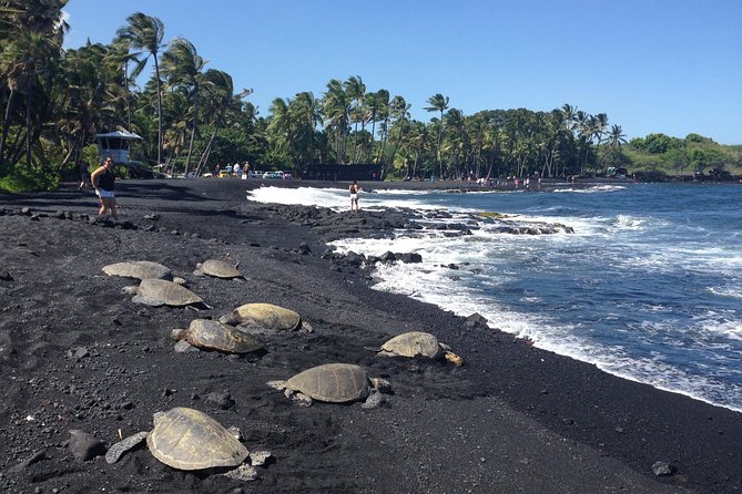 Small-Group Big Island Tour: Hawaii Volcanoes National Park and Kona Coffee Farm - South through Captain Cook and the Kau Scenic Byway