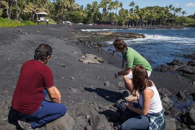Small Group Big Island Twilight Volcano and Stargazing Tour - Stargazing on Saddle Road
