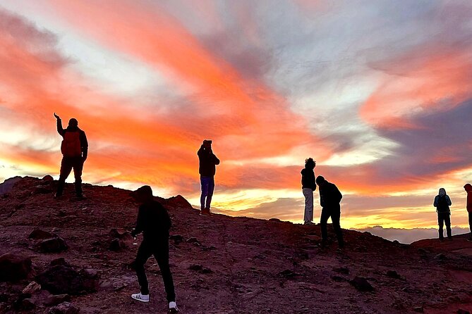 Small Group Teide National Park Volcanic and Forest Wonders - Why Teide works well as a half-day trip