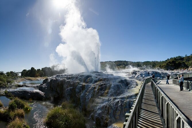 Small Group Waitomo and Rotorua including Te Puia Tour - Waitomo Glowworm Caves, where the ceiling becomes a night sky