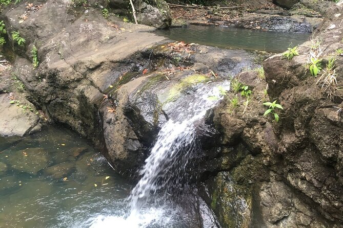 Soufriere Volcano Experience - Why this tour works as a full-day introduction to St. Lucia