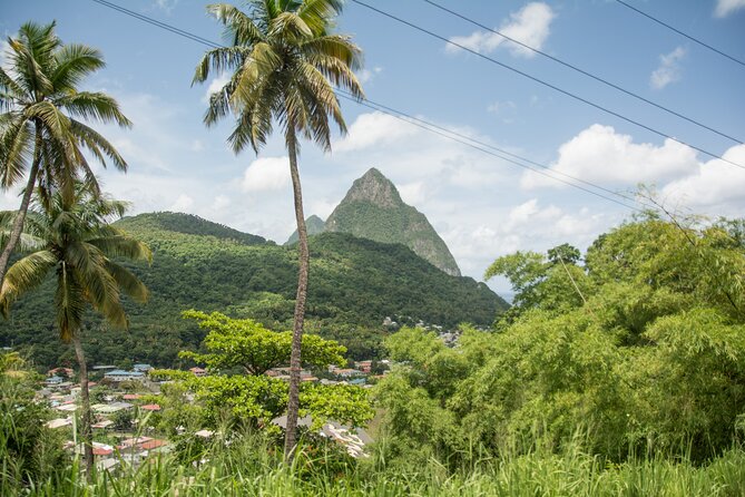 Soufriere Volcano Experience - The ride back, group size, and the value of $135