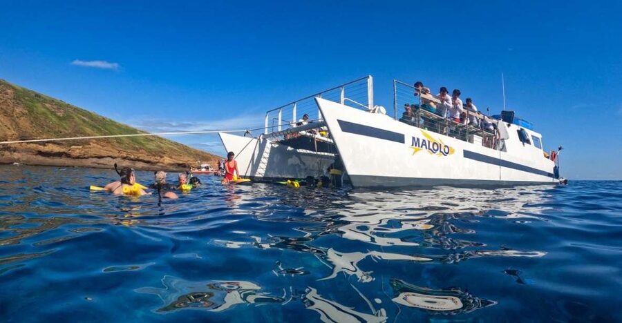 South Maui: Snorkel to Coral Gardens or Molokini Crater - Key points to know before booking