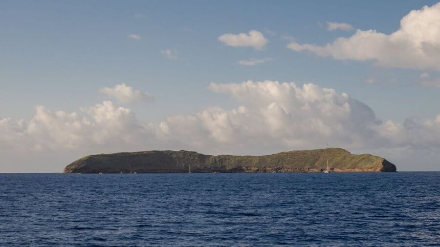 South Maui: Snorkel to Coral Gardens or Molokini Crater - A family-friendly setup without a luxury price