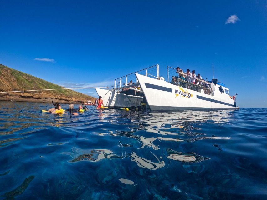South Maui: Snorkel to Coral Gardens or Molokini Crater - Hotdogs, snacks, and low-cost drinks