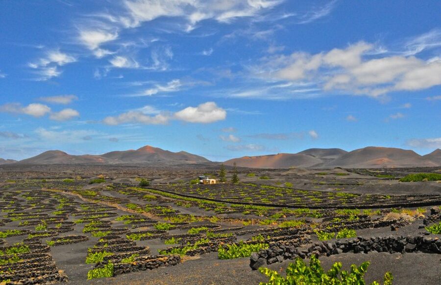 South Tour: Timanfaya National Park - Key points to know before booking