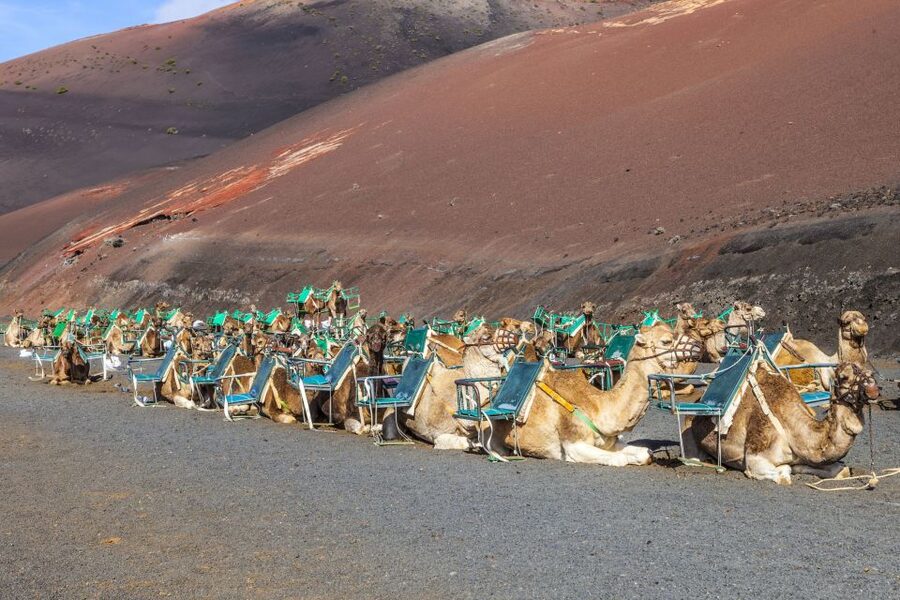 South Tour: Timanfaya National Park - The coast near Los Hervideros and Salinas de Janubio