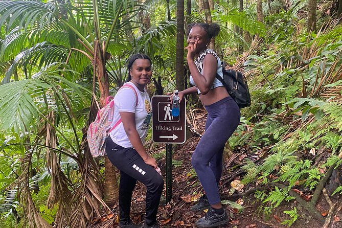 St.Kitts Volcano Hike To Mt. Liamuiga (Highest Peak On Island) - Transport and cruise timing deserve attention
