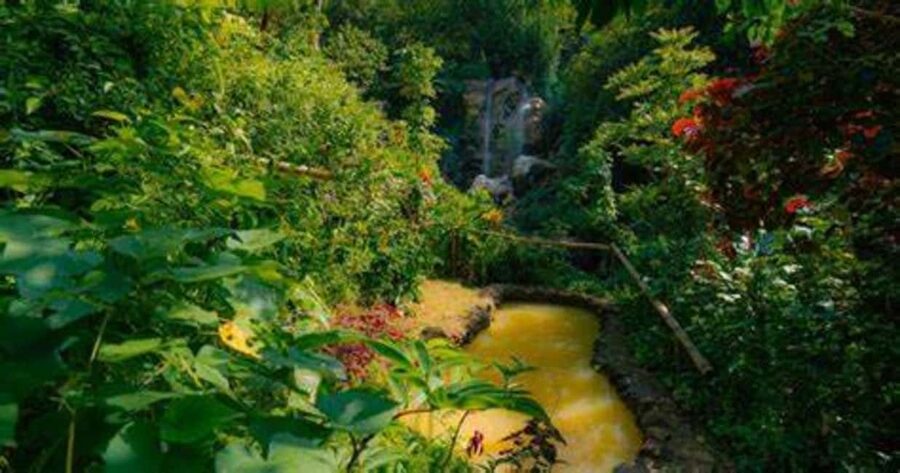 St. Lucia: Safi Estate, Volcano Waterfalls Experience - Key points to know before booking