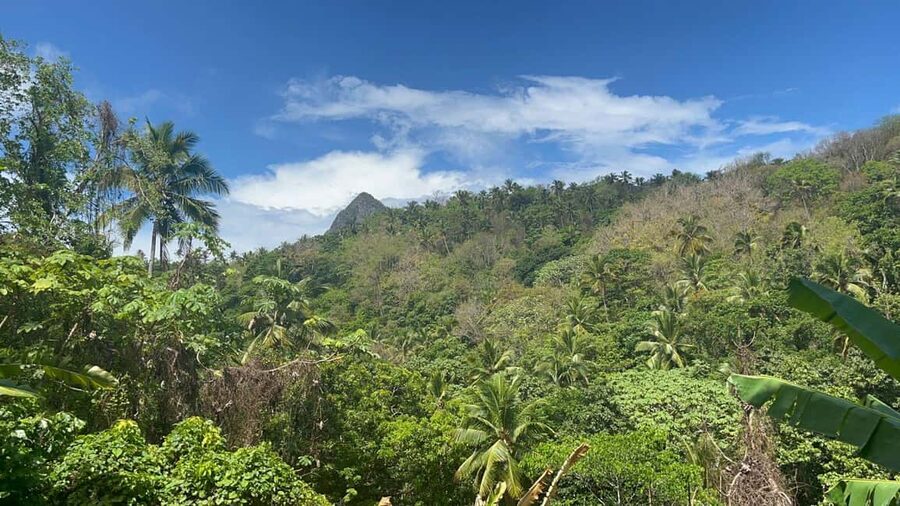 St. Lucia: Safi Estate, Volcano Waterfalls Experience - A short walk with plenty packed into it