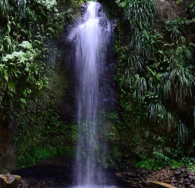St. Lucia: Sulphur Springs Mud Bath and Toraille Waterfall - Cancellation and booking flexibility