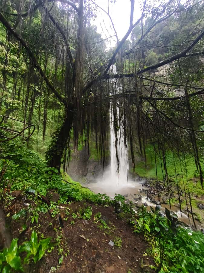 Start 10am Bandung Group Tour Volcano, Waterfalls, Hotspring - Late lunch, Bandung views, and a possible sunset