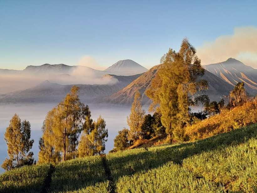 Start From Surabaya: Mount Bromo Sunrise Shared Guided Tour - The real value of the $48 price