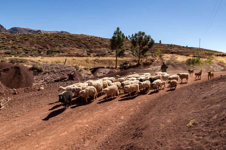 Sucre: 2 days trek in Inca Trails and the Crater de Maragua - Why this Sucre trek is different