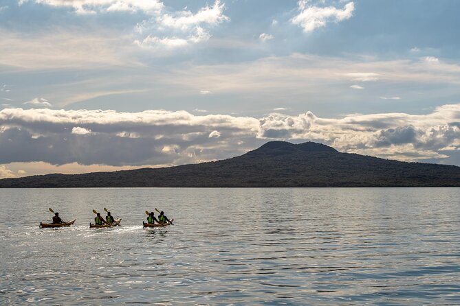 Sunset kayak tour to Rangitoto Island - The night kayak back to Auckland