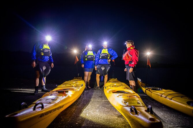 Sunset kayak tour to Rangitoto Island - How fit do you need to be?