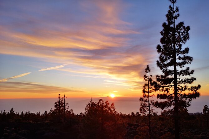 Sunset & Stargazing Experience From Teide - Who will enjoy this evening most?
