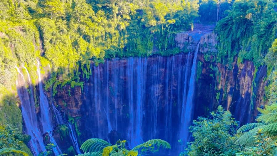 Surabaya/Malang: 3-Day Tumpak Sewu Bromo Ijen Volcano Tour - Bromo sunrise and the 253-step crater climb
