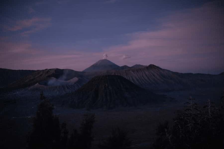 Surabaya/Malang : Mount Bromo and Tumpaksewu Waterfall Tour - The guide support and photo help