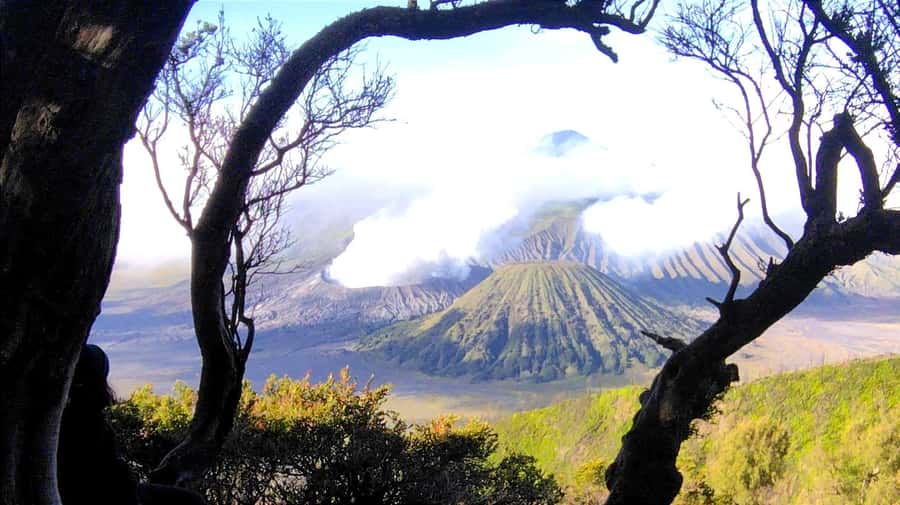 Surabaya or Malang : Bromo, Tumpaksewu waterfall in 2 days - The 6 AM departure from Surabaya or Malang