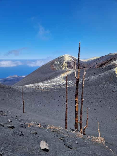 Tajogaite Volcano: the official route with a certified local guide - Llano del Jable and the first volcanic viewpoint