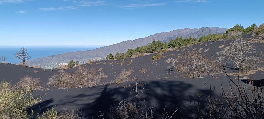 Tajogaite Volcano: the official route with a certified local guide - The 7 km descent around Tajogaite