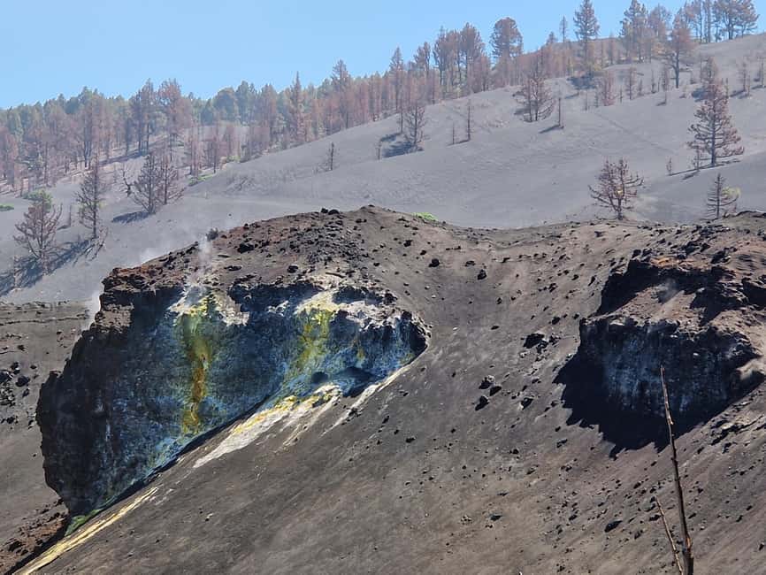 Tajogaite Volcano: the official route with a certified local guide - Lava flows, geology, and the human cost
