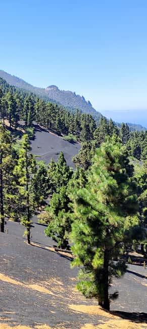 Tajogaite Volcano VIP Experience: Private Tour with a Certified Guide - Should you book it?