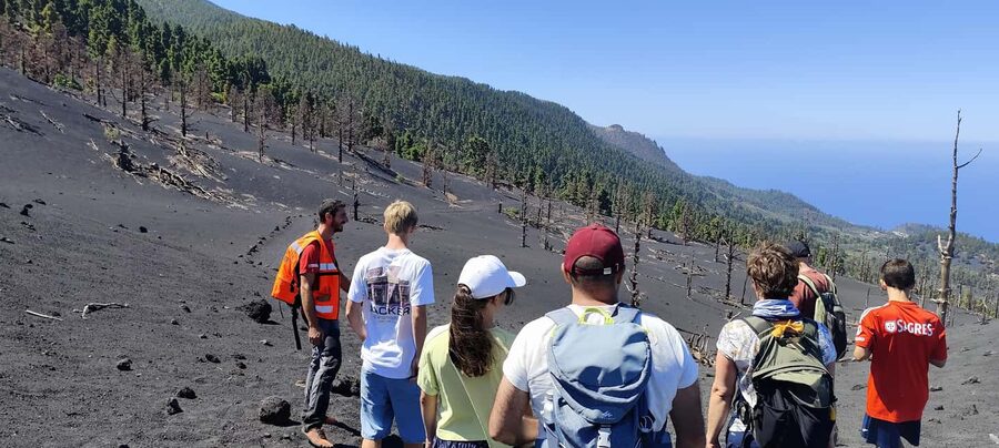 Tajogaite Volcano VIP Experience: Private Tour with a Certified Guide - What guide Luca adds to the walk