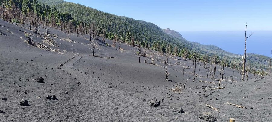 Tajogaite Volcano VIP Experience: Private Tour with a Certified Guide - Private pricing and what you receive for $352