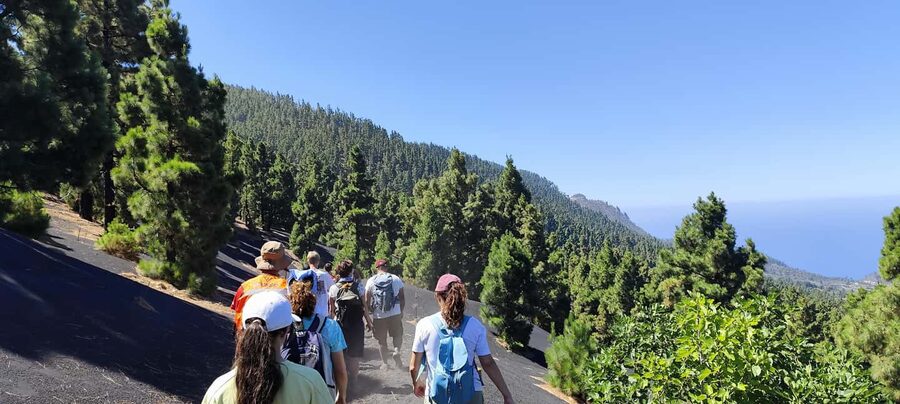 Tajogaite Volcano VIP Experience: Private Tour with a Certified Guide - Who should book this Tajogaite experience