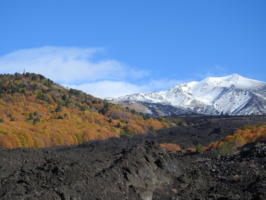 Taormina and Catania: Private guided Etna hike by cable car - A guide makes the difference on a private tour